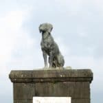 Loyal dog statue