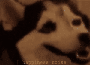 Happiness Noise Dog  * meme template