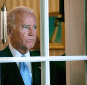 Joe Biden Window Political meme template