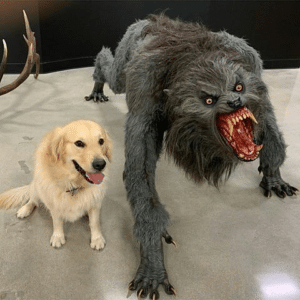 Dog Next to Monster Meme Scaring meme template