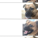 Happy and Sad Dog  meme template blank