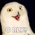 O Rly? Owl Classic meme template blank