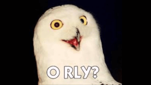 O Rly? Owl Classic meme template