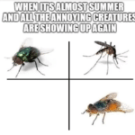 It's almost summer and the annoying creatures are showing up  meme template blank