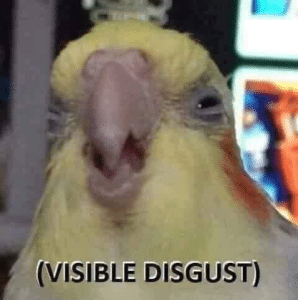 Bird (visible disgust) Disgust meme template