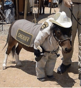 Sheriff Horse  Animal meme template