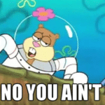 Sandy “No you ain’t” Spongebob meme template blank