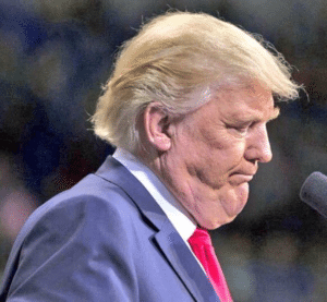 Donald Trump Chin Face meme template