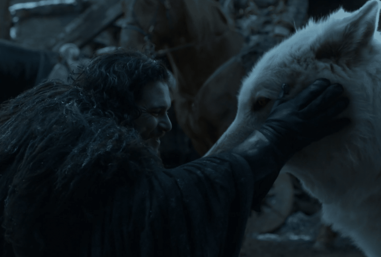 Meme Generator - Jon Snow with Ghost - Newfa Stuff