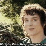 All right then, keep your secrets  meme template blank Frodo Baggins, lotr
