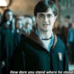 Harry Potter 'How dare you stand where he stood'  meme template blank