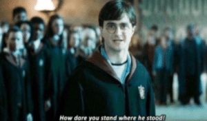 Harry Potter ‘How dare you stand where he stood’ Standing meme template