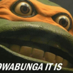 Cowabunga it is  meme template blank Ninja Turtles