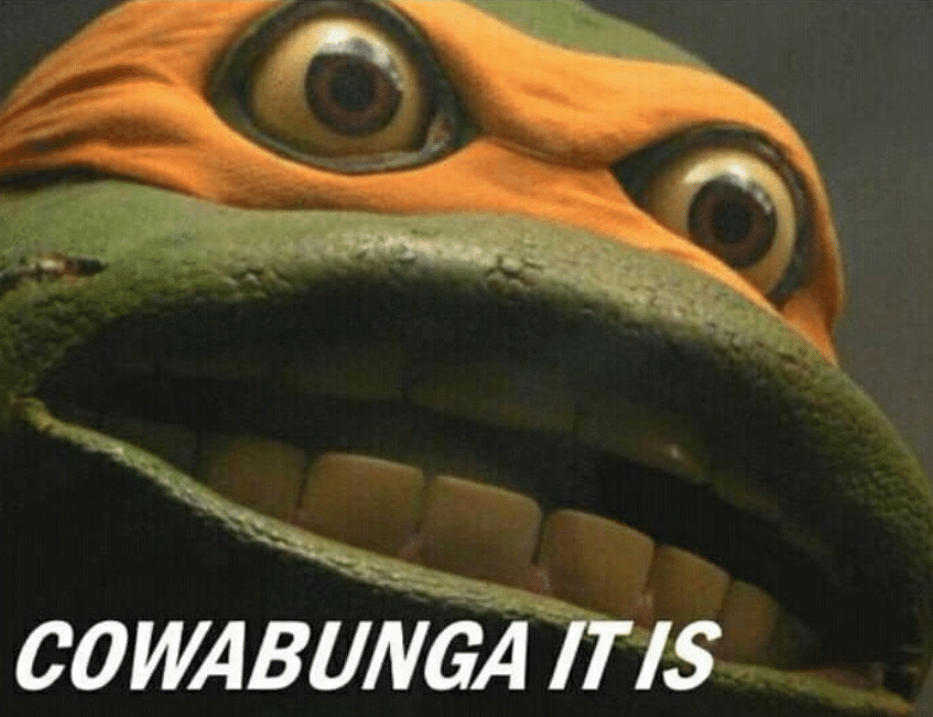 Meme Generator - Cowabunga it is - Newfa Stuff