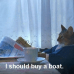 'I should buy a boat' Cat (with text)  meme template blank