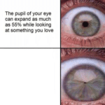 The pupil of your eye expands (shrinks)  meme template blank