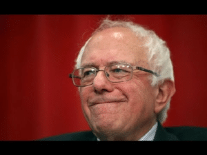Bernie Sanders smirking  Political meme template