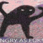 Angry as Fuk  meme template blank cat
