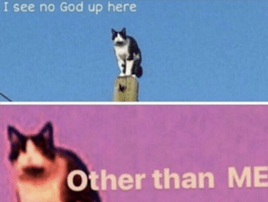 Cat "I see no God up here other than me" God meme template