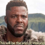 This will be end of Wakanda Black Twitter meme template blank
