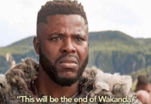 This will be end of Wakanda Sad meme template
