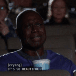 Holt 'It's so beautiful'  meme template blank Brooklyn 99, Captain Holt, Happy Crying