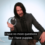 I have no more questions but I have puppies  meme template blank