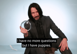 I have no more questions but I have puppies Keanu meme template
