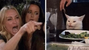 Woman Yelling / Pointing at Cat Angry meme template