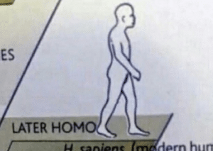Later Homo Gay meme template