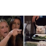 Woman Yelling / Pointing at Cat with white space Angry meme template