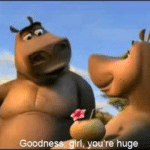 Goodness girl you're huge  meme template blank Madagascar, Hippo