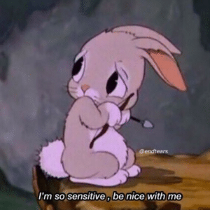 Im sensitive so be nice to me Bunny meme template