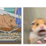 Scared and Strong hamster  meme template blank vs., Family Guy