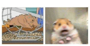 Scared and Strong hamster Caring meme template