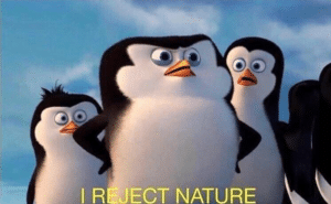 I reject nature Madagascar meme template