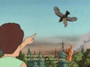 That eagle is carrying the rabbit out of harms way Rabbit meme template