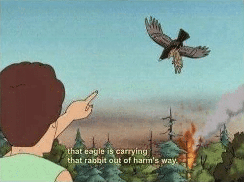 That eagle is carrying the rabbit out of harms way  meme template blank King of the Hill, Peggy