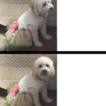 Dog Drake Meme Template  meme template blank