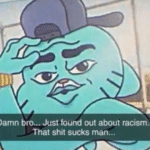 Damn bro just found out about racism  meme template blank