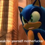 Sonic 'Speak for yourself motherfucker'  meme template blank Sonic