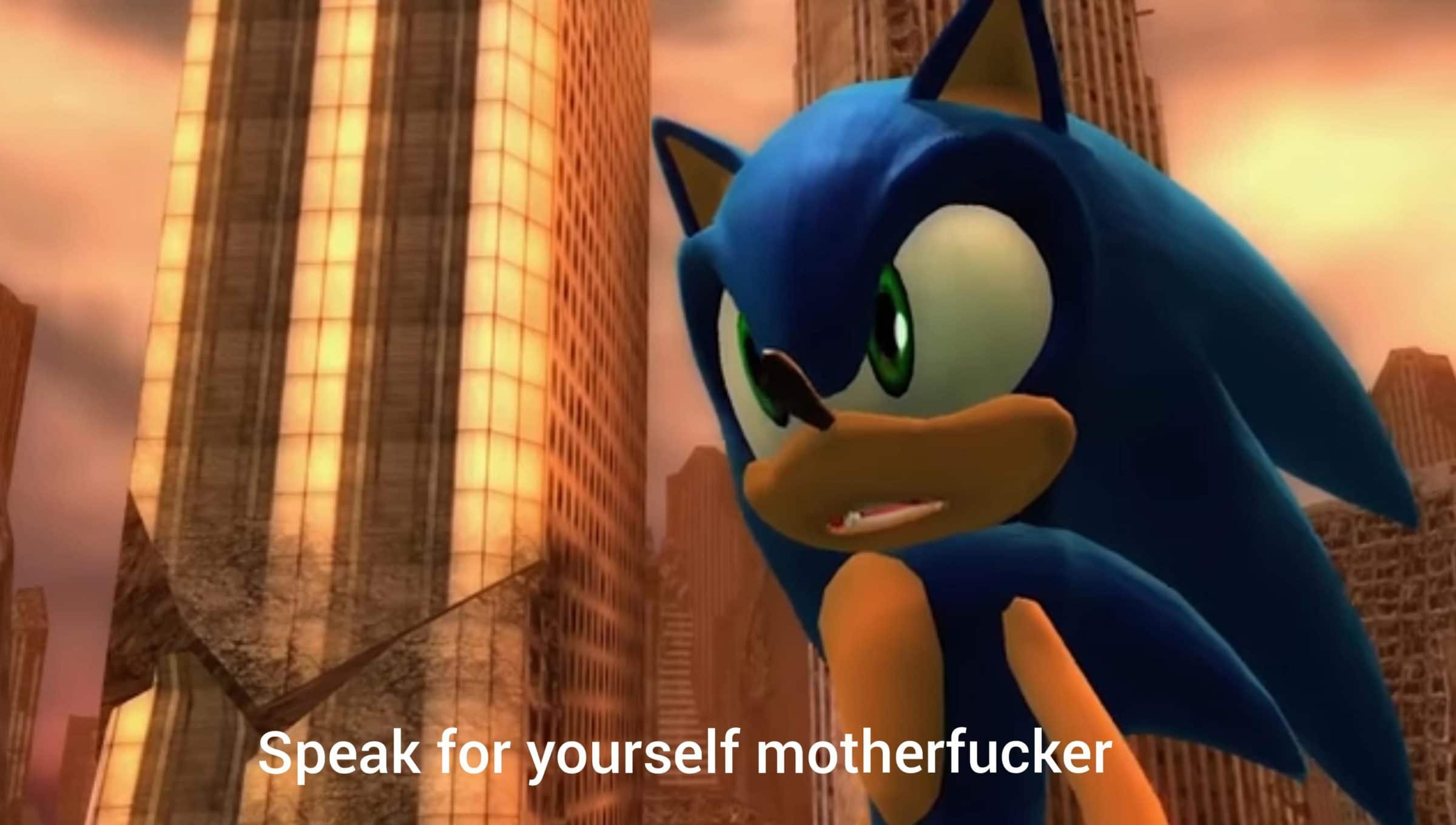 Sonic 'Speak for yourself motherfucker'  meme template blank Sonic