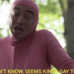 I don't know, seems kinda gay to me  meme template blank Filfthy Frank, YouTube