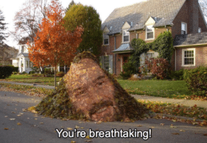 Keanu Leaves ‘Youre breathtaking’ Keanu meme template