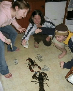 Lobster fight Crowd meme template