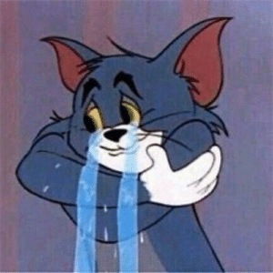 Tom Cat Crying Tom and Jerry meme template