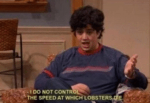 I do not control the speed at which lobsters die Drake meme template
