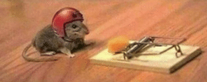 Mouse wearing helmet Vs meme template