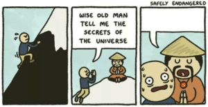 Wise Old Man comic (blank) Opinion meme template