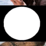 Meme Generator – Jack Sparrow looking through telescope